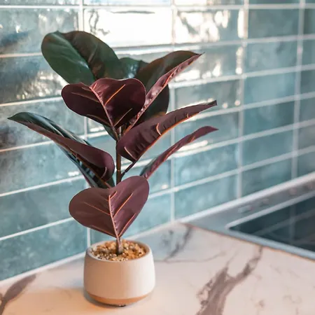 Laura By The Sea * Lámbi